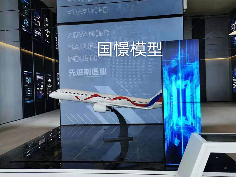徐汇区飞机模型