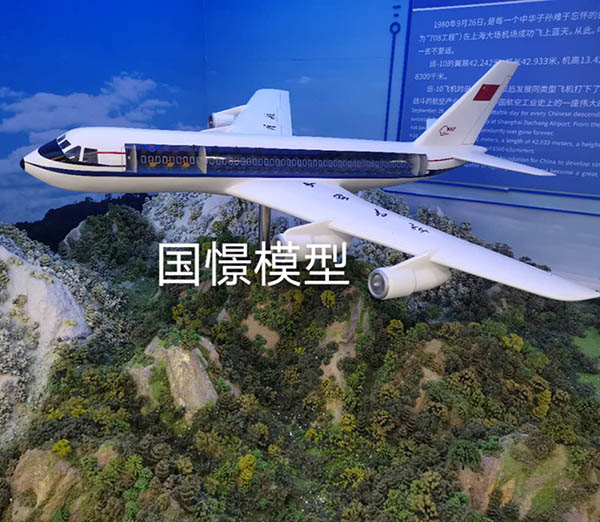 徐汇区飞机模型