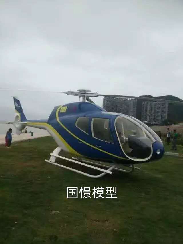 徐汇区飞机模型