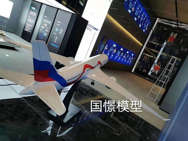 徐汇区飞机模型