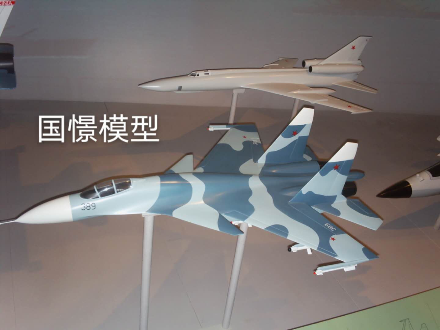 徐汇区军事模型