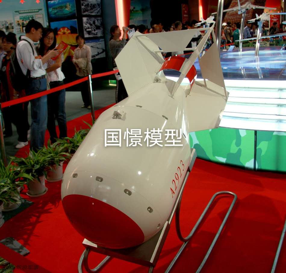 徐汇区军事模型