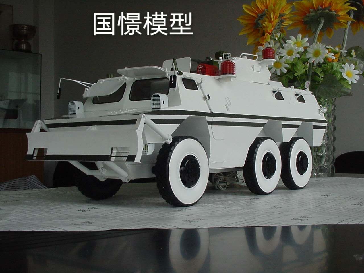 徐汇区军事模型