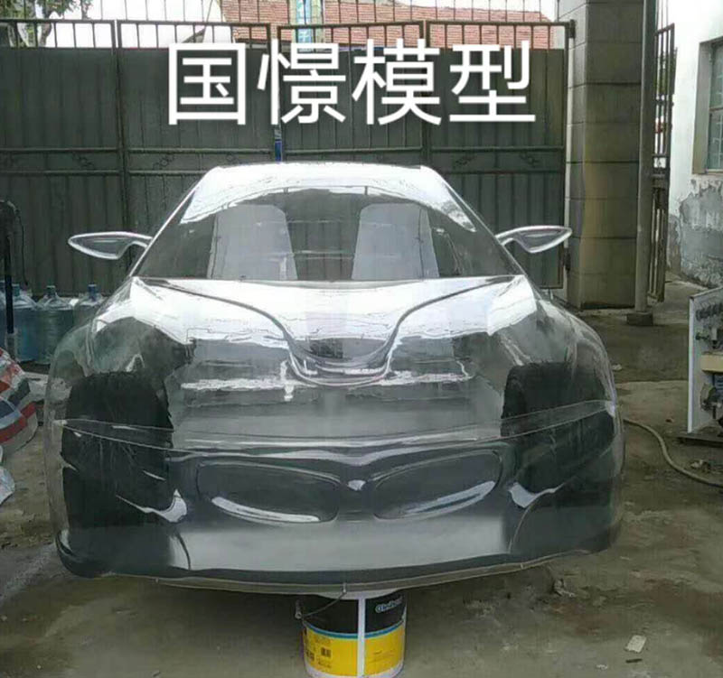 徐汇区透明车模型