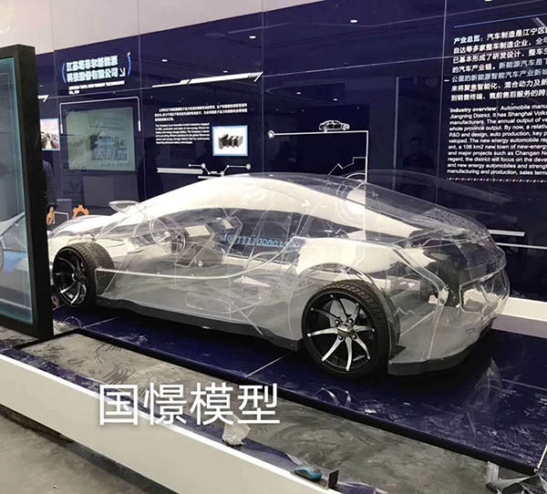 徐汇区透明车模型