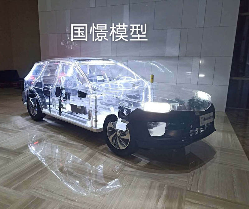 徐汇区透明车模型